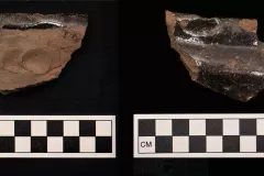 These sherds are remarkable in that they display the potter’s fingerprints. While this would not have been one of the Aldens, these are a direct connection with someone else who lived long ago.
