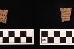 This sherd is likely a piece of a Native American vessel. It is uncertain as to when this vessel dates from. It could have been used by Native peoples before the Aldens inhabited the land. It could also be a clue to the interactions between the colonists and Native Americans. John’s job as a land agent could easily have led to Native objects being found near his home. Finally, this piece could also have been left at the First Home after the Aldens moved away, either by Native peoples themselves or by land development projects that moved and mixed the soil.